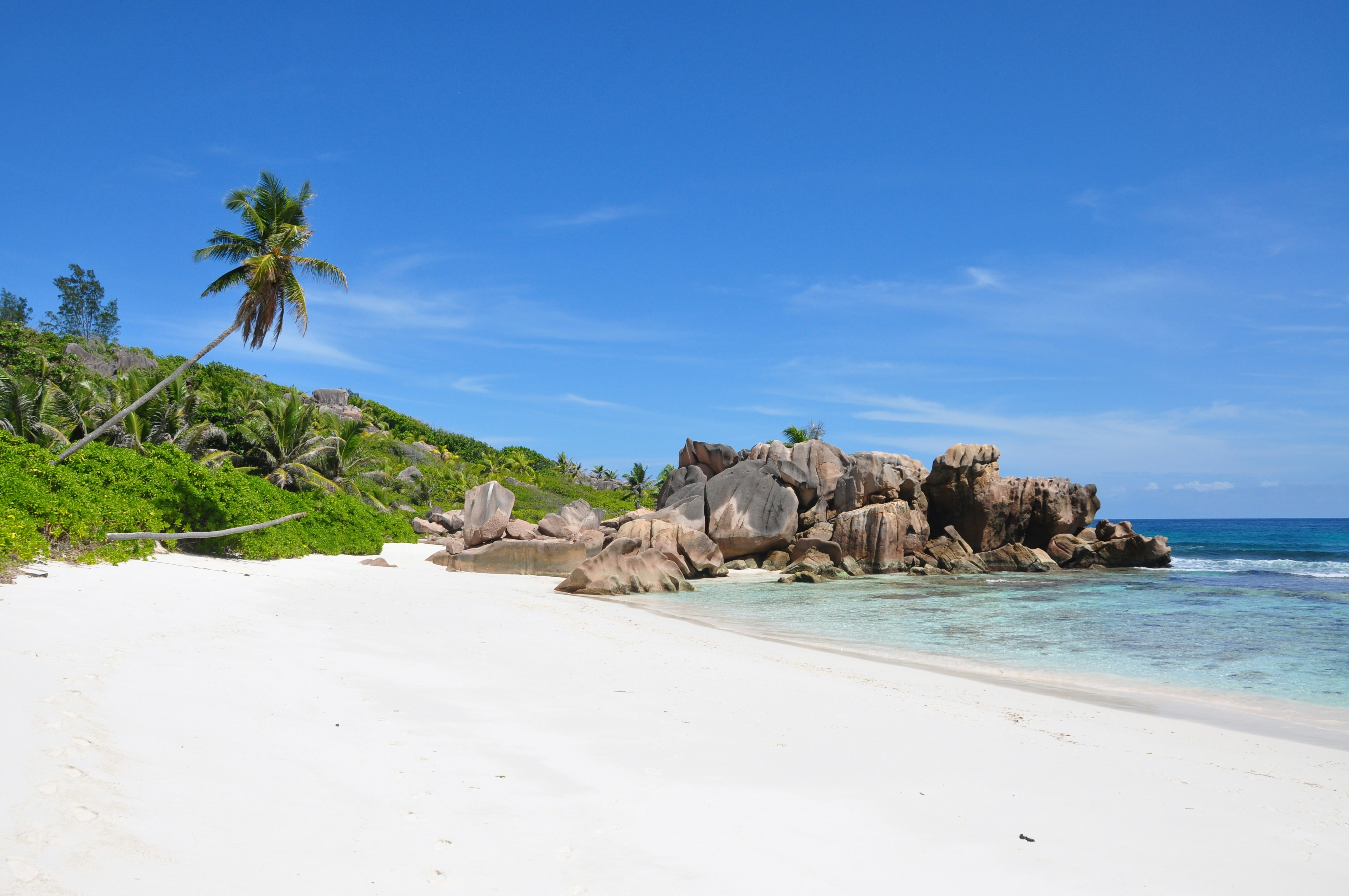 white sand beach